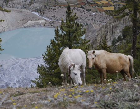 [Annapurna Circuit] cz. 5: Okolice Manangu