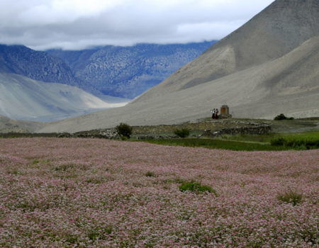 [Annapurna Circuit] cz. 8: Muktinath – Jomsom