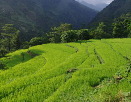 [Annapurna Circuit] cz. 1: Besisahar – Chyamche